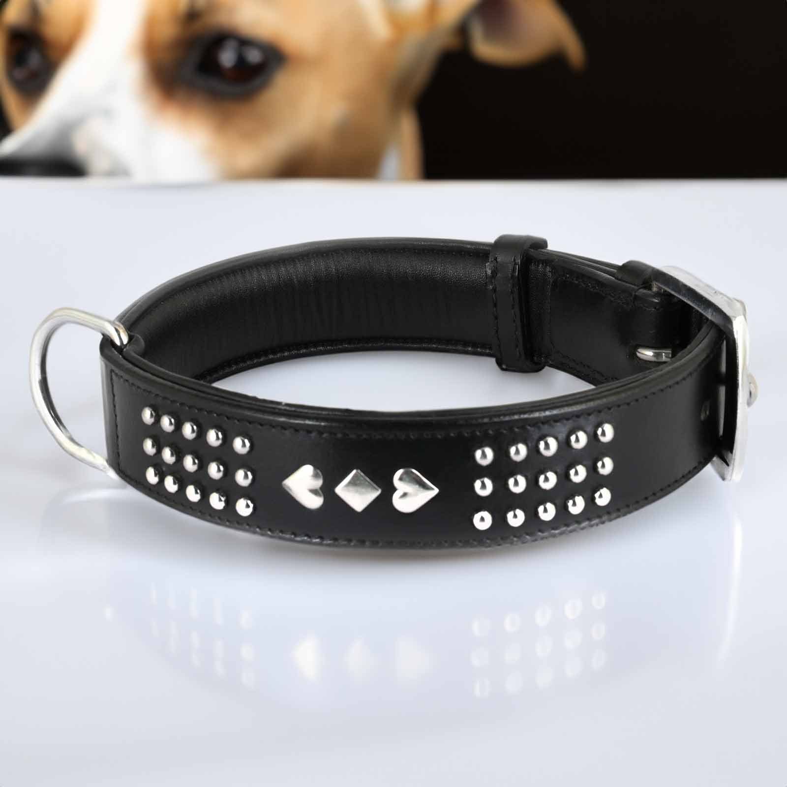 Monkimau Hunde-Halsband Hundehalsband aus Leder mit Nieten, Leder