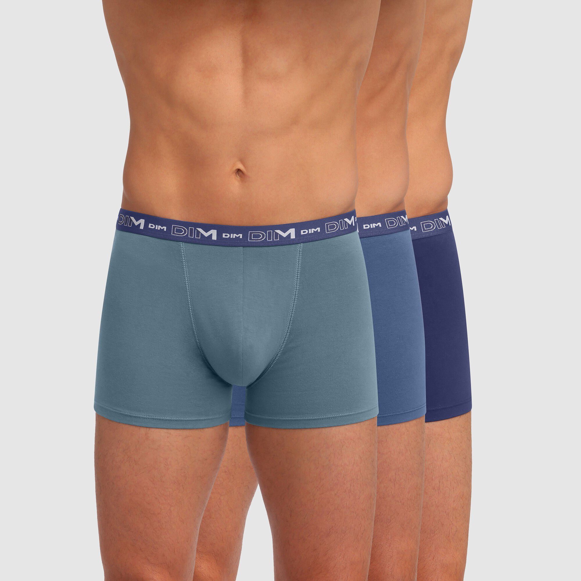 Boxer