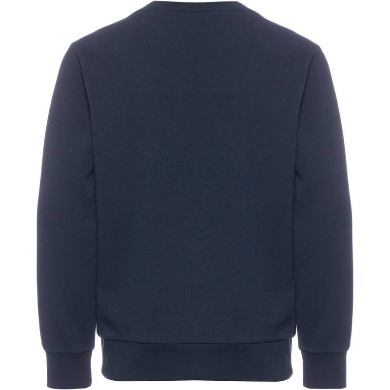 CHAMPION LEGACY AMERICAN CLASSICS Sweatshirt Jungen