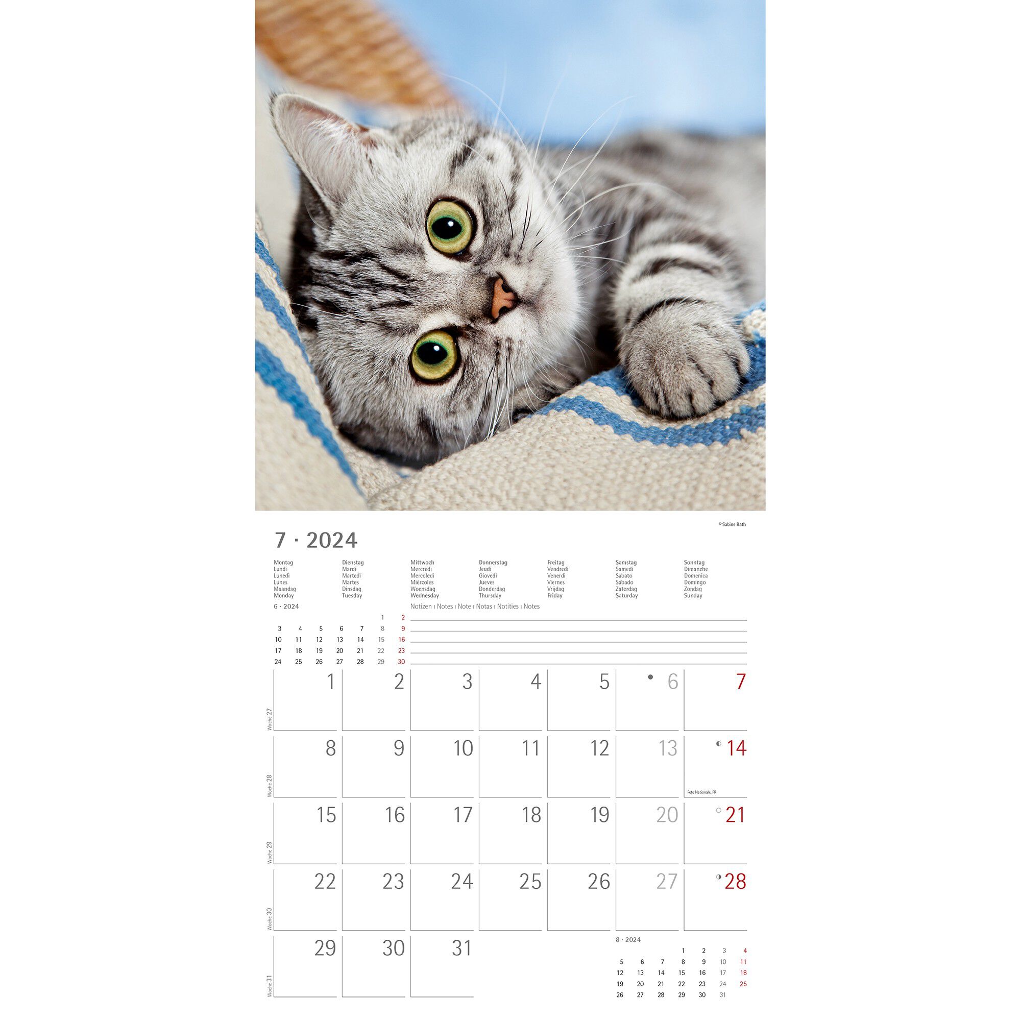 Calendrier 2024 chats