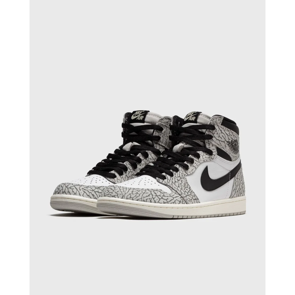 NIKE JORDAN 1 Retro High OG DZ5485 052 / grau