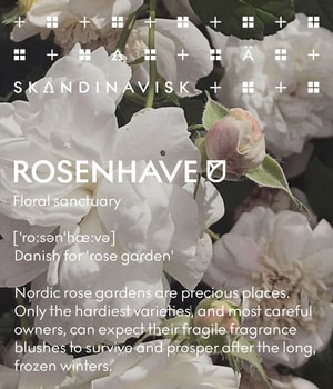 SKANDINAVISK ROSENHAVE Duftkerze 65 g