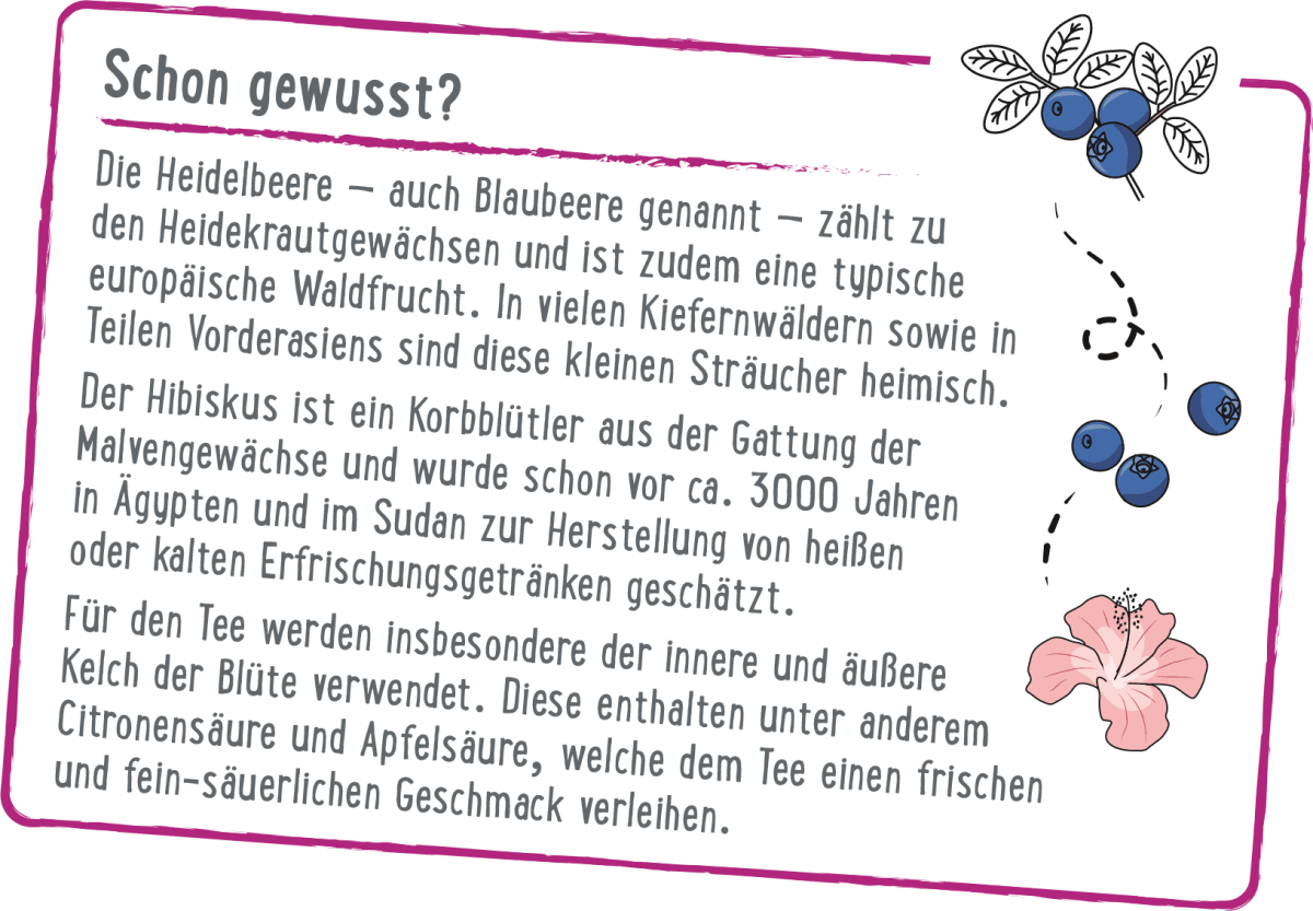 Früchtetee Waldfrucht (20 Beutel), 0,05 kg