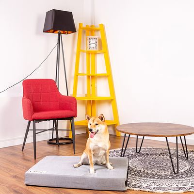 Hundematratze Classic