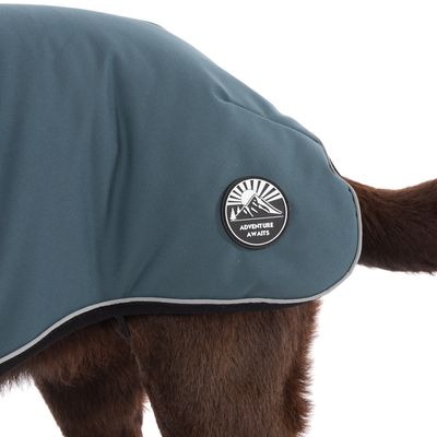 TIAKI Hundemantel Warmup Pro Sky