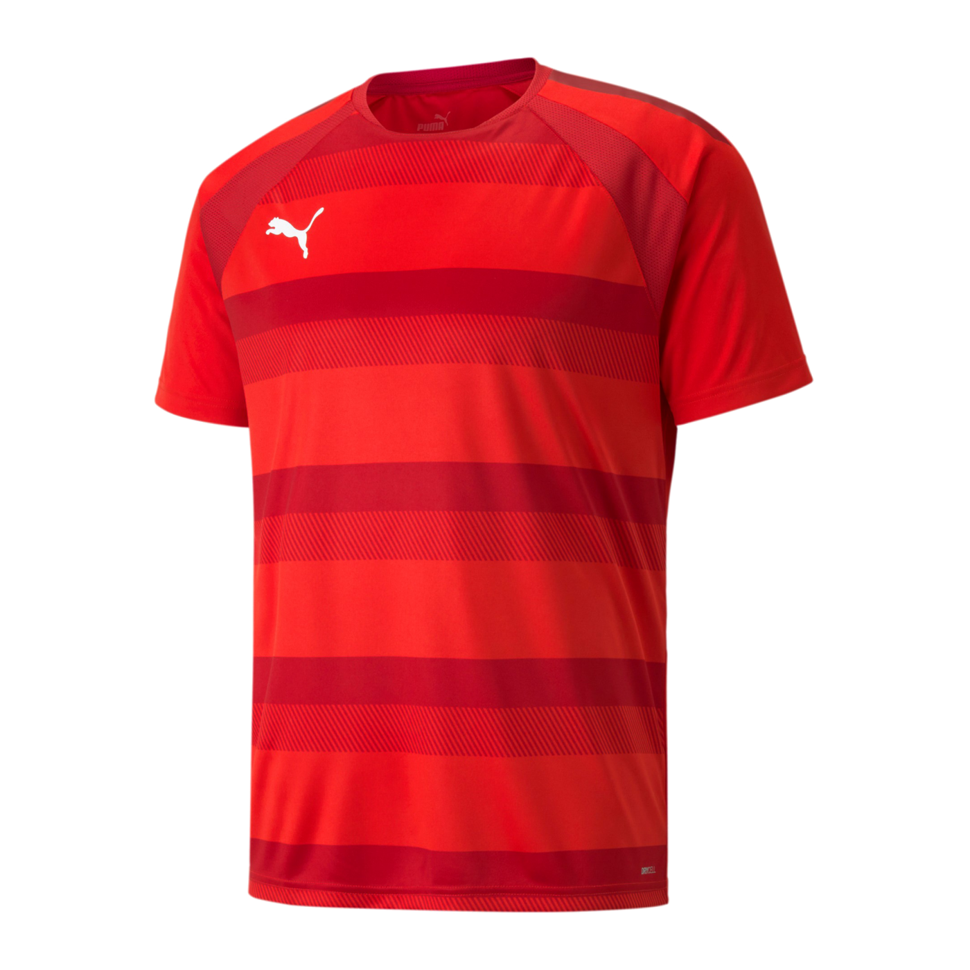 PUMA teamVISION Trikot Rot F01
