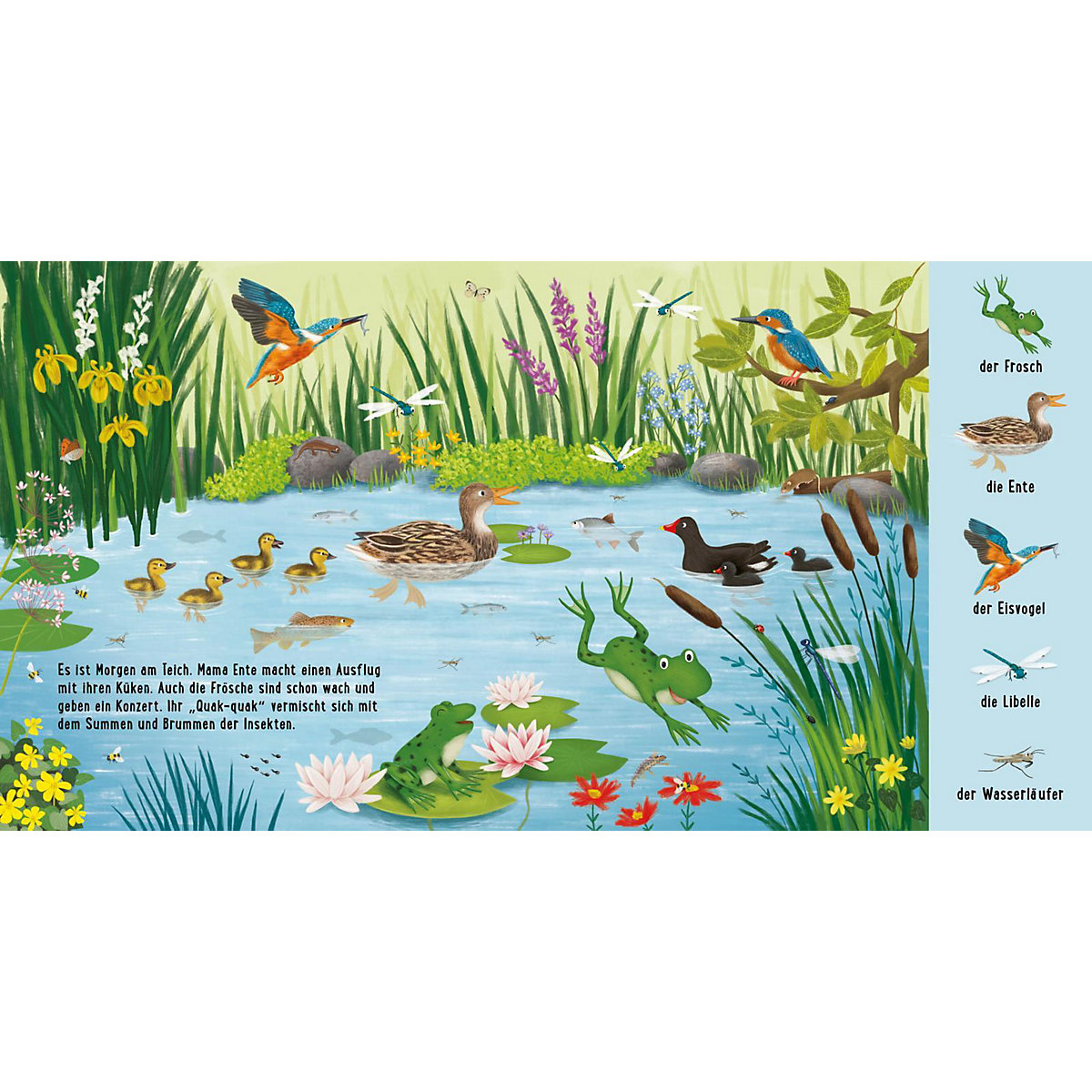 Mein erstes Natur-Wimmelbuch: Tiere am Wasser