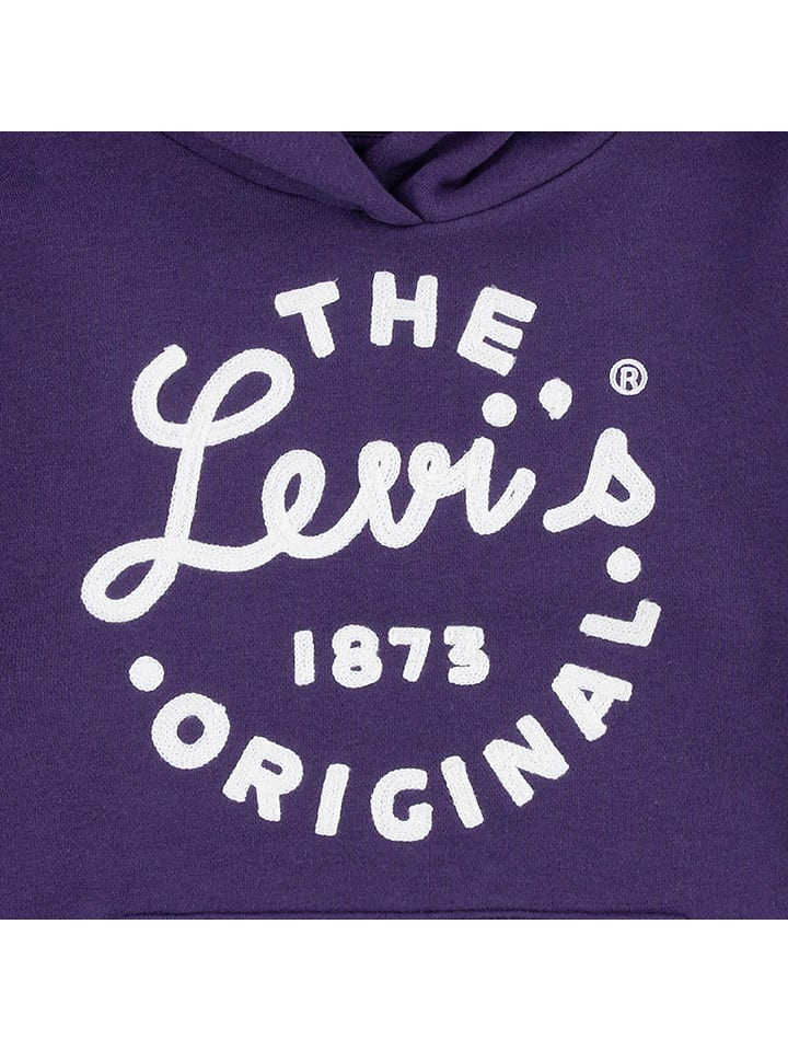 Levi's Kids Hoodie in Lila günstig kaufen