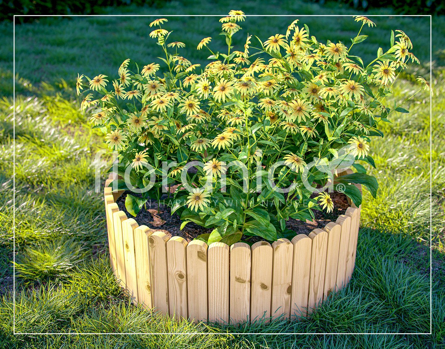 Floranica Beetbegrenzung, Rollborder Flexibler Holzzaun 203cm (kürzbar) Höhe: 10cm Unbehandelt