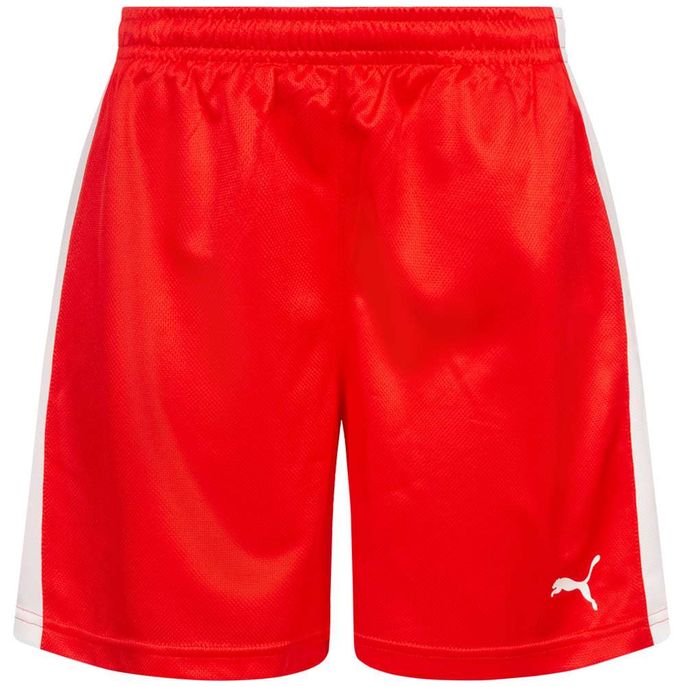 DHF Dänemark PUMA Damen Handball Shorts 750674-01