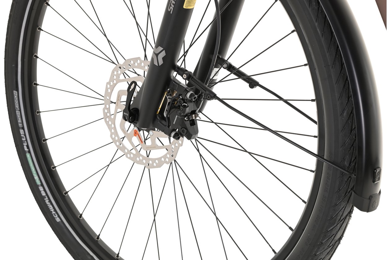 Carver Route E.530 - 625 Wh - 2024 - 28 Zoll - Damen Sport