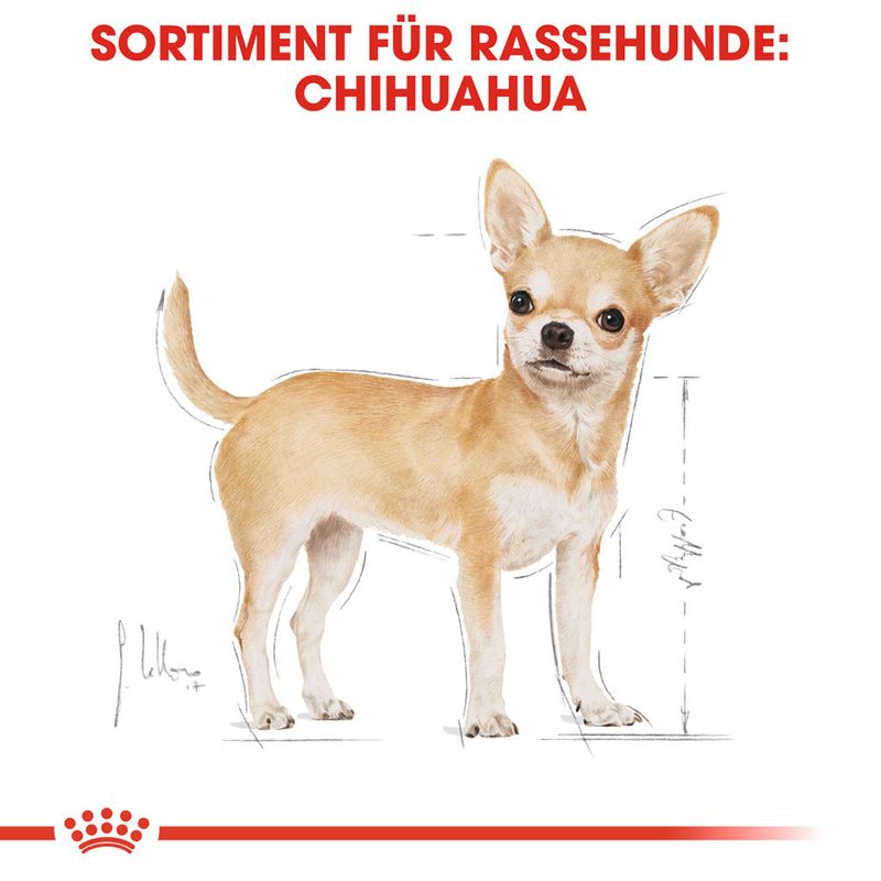 Royal Canin Chihuahua Mousse