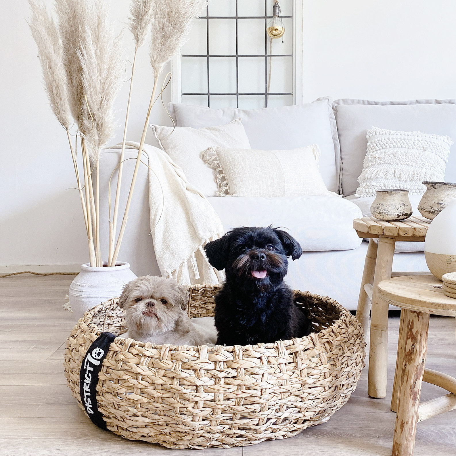District 70 Katzenbetten & Katzensofas District 70 COCOON Natural M