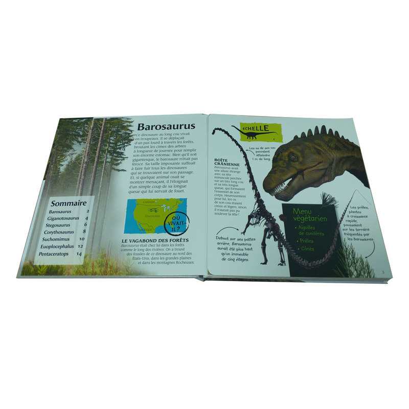 Livre Le livre géant des dinosaures - Gallimard Jeunesse