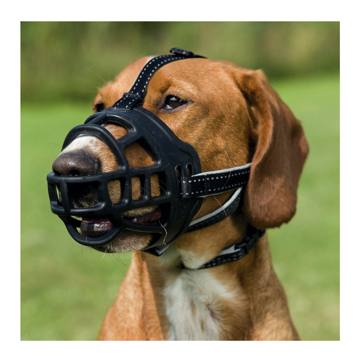 Trixie Muzzle Flex Maulkorb schwarz günstig kaufen bei ZooRoyal