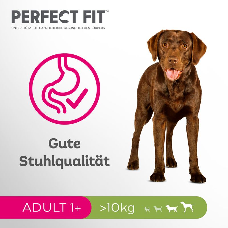 Perfect Fit Adult Hund (>10kg)