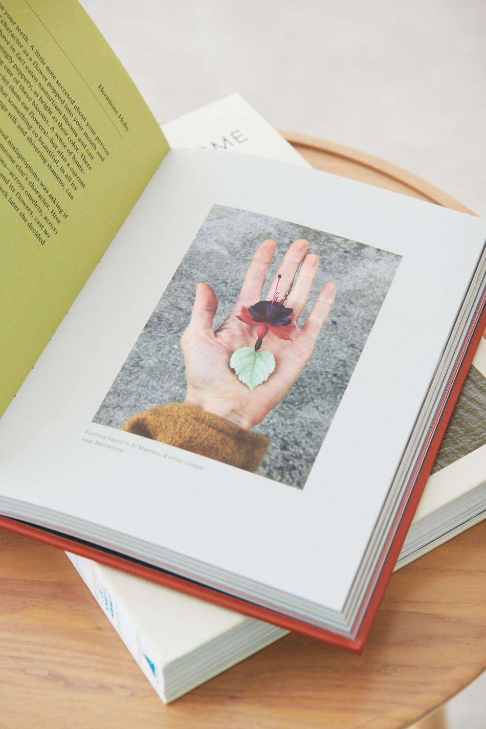 New mags edible flowers book