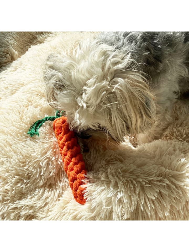 Intirilife 10er Set Hundespielzeug Kauspielzeug in Bunt günstig kaufen onesize
