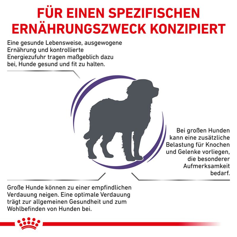 Royal Canin Expert Canine Adult Large Dog