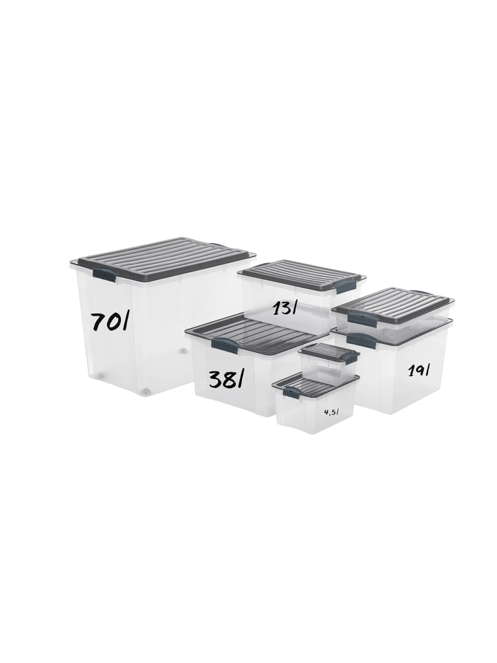 Rotho 3er Set Box DIN A4 Format hoch, 19 l COMPACT günstig kaufen onesize