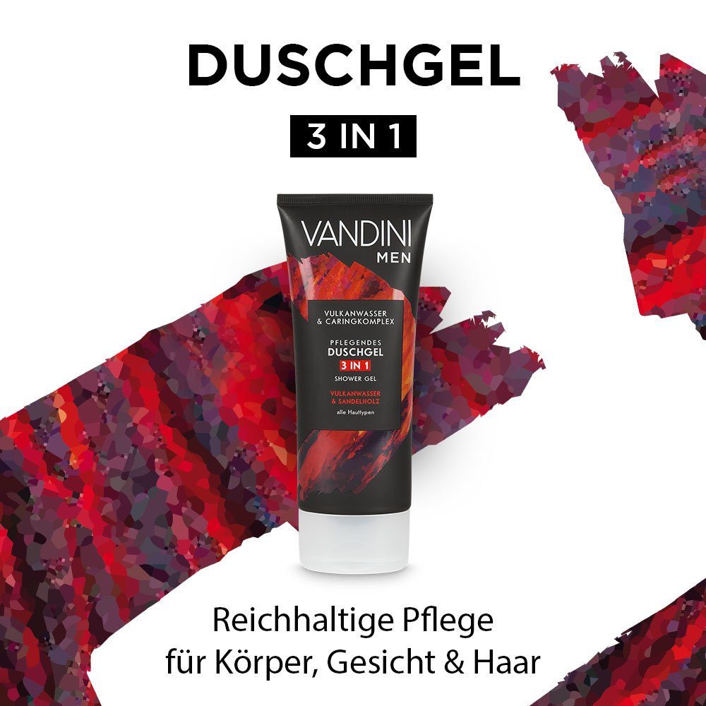 VANDINI Duschgel VANDINI 3in1 Duschgel für Männer 200 ml - Herren Duschgel vegan, 1-tlg.