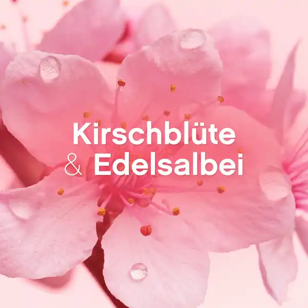 Kirschblüte & Edelsalbei Weichspüler  56 WL