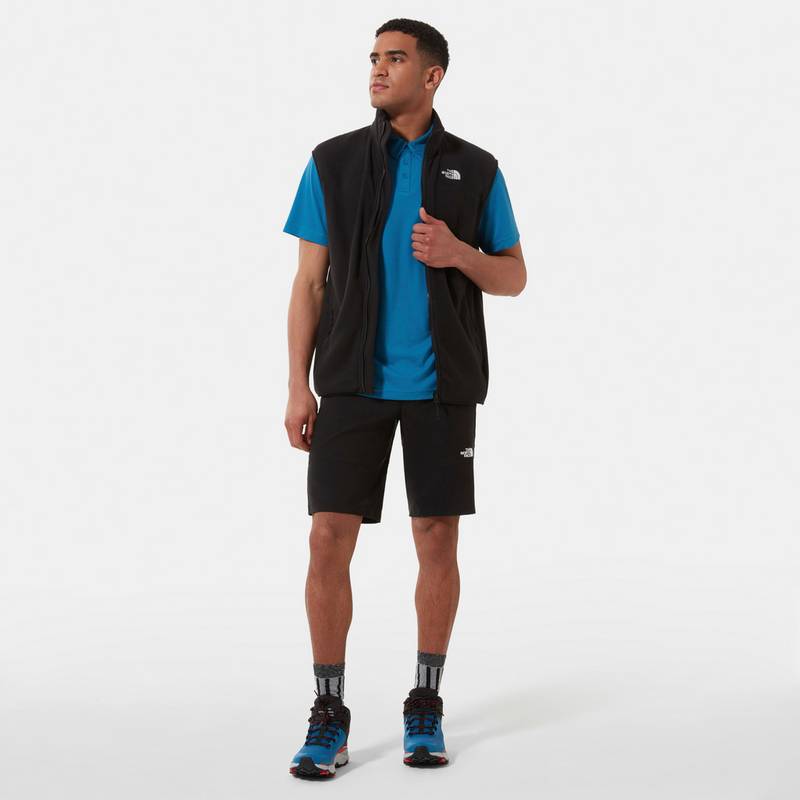 The North Face LIGHTNING Funktionsshorts Herren