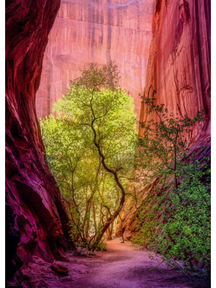 HEYE Puzzle Singing Canyon in Bunt günstig kaufen onesize