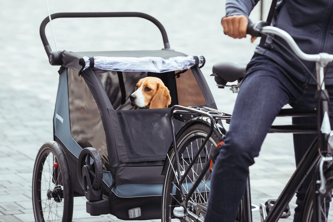 Thule Courier