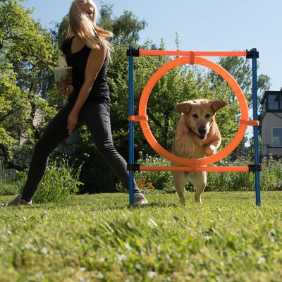 Agility Fun & Sport Komplett-Set