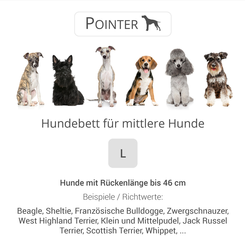 Pointer Hundebetten Pointer Liegeplatz anthrazit L