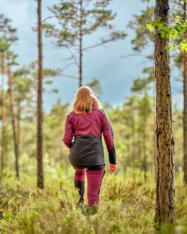 Pinewood Damen Hose Finnveden Hybrid