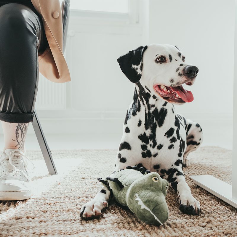 HUNTER Hundespielzeug Tough Toys Krokodil zu TOP-Preisen | bitiba