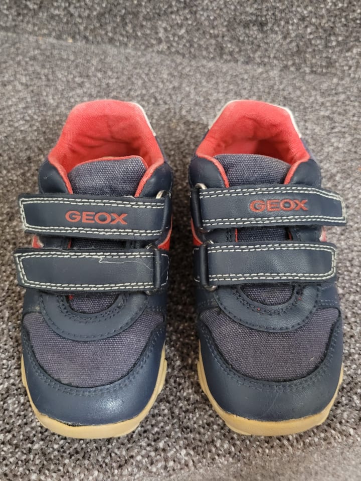 Geox Sneakers 