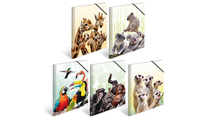 HERMA Sammelmappe A3 Exotische Tiere sortiert