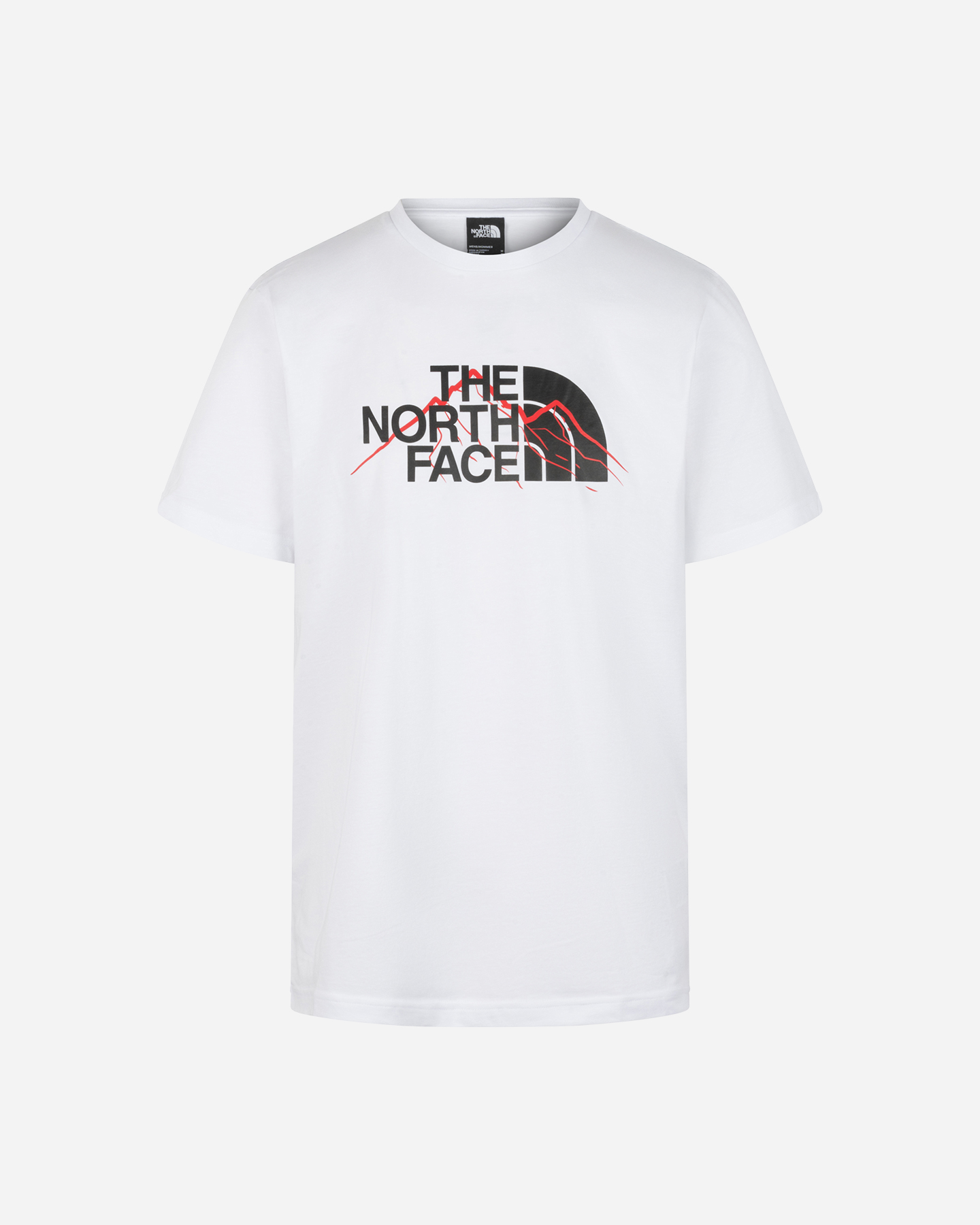Tričko The North Face Mountain Line M NF0A8FM2FN41