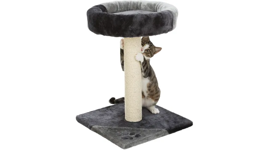 Trixie Kratzbaum Tarifa grau/schwarz 52 cm Katzenzubehör