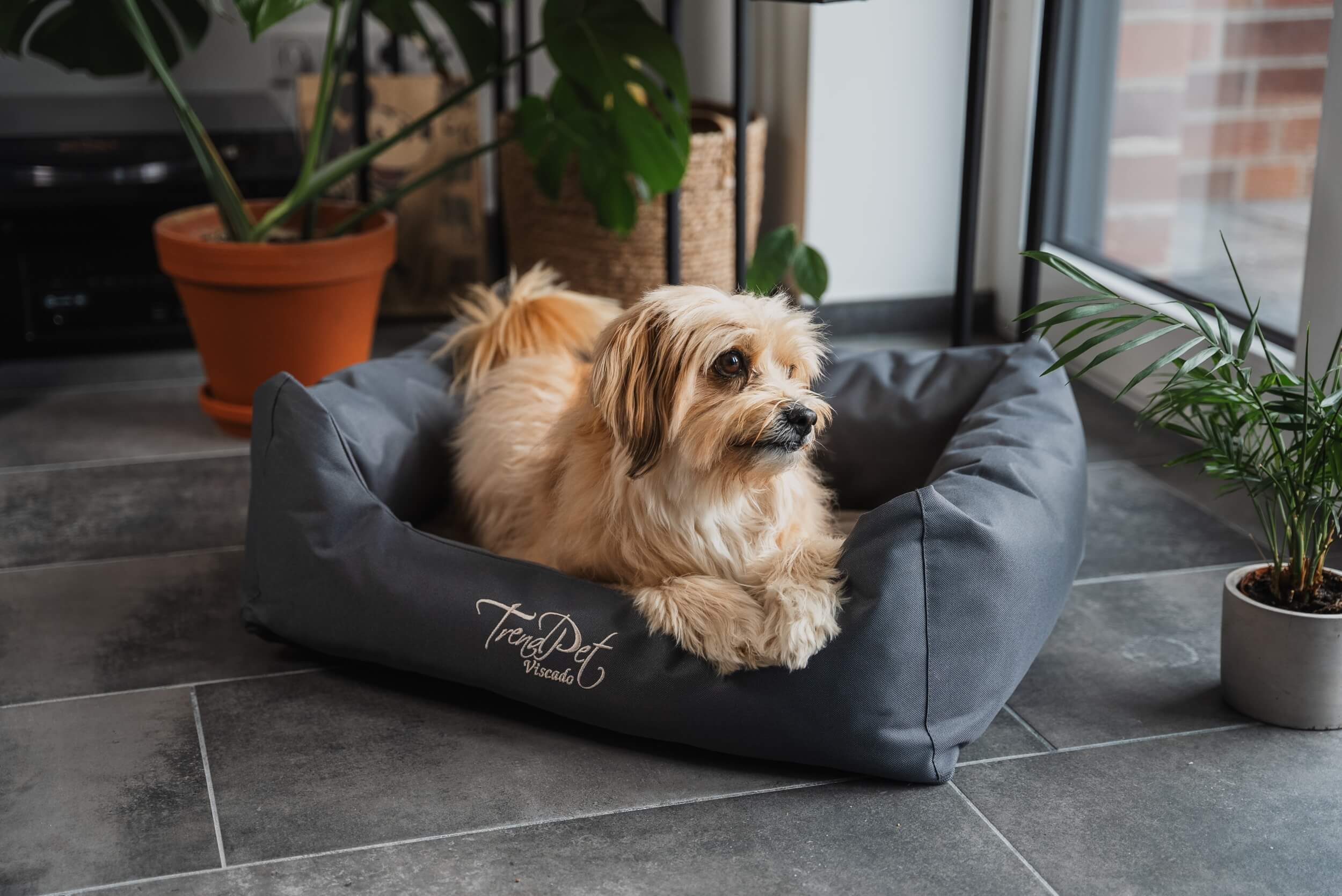 TrendPet Hundebetten TrendPet Viscado orthopädisches Hundebett grau L