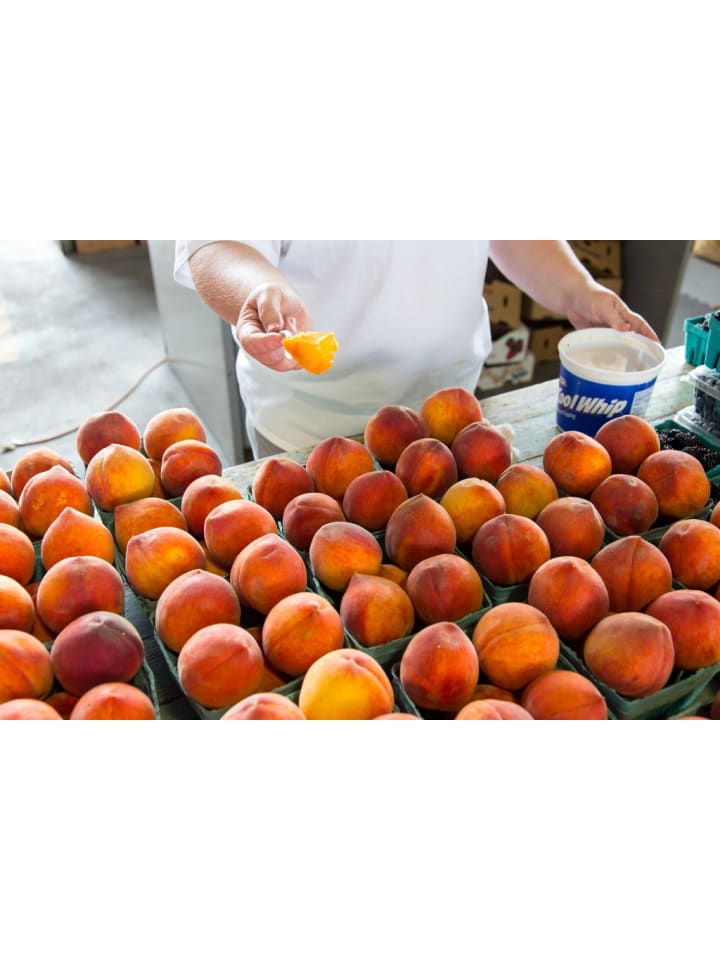 OH2 3er-Set Pfirsich Redheaven Obstbäume in Bunt günstig kaufen onesize