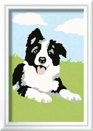 CreArt Border Collie Welpe - Malen nach Zahlen für Kinder ab 7 Jahren
