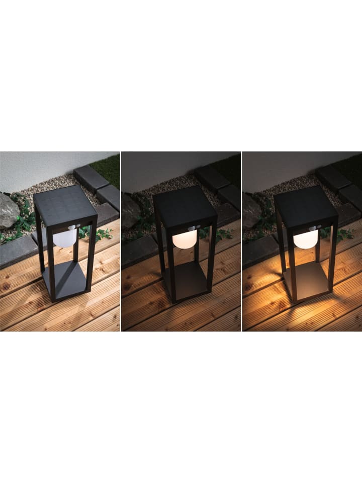 paulmann Solar LED Lichtobjekt Marisol günstig kaufen onesize