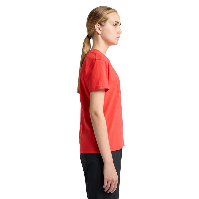 Haglöfs Camp Tee Funktionsshirt Damen