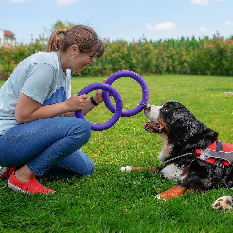 Ferplast Hundespielzeug Puller zu TOP-Preisen