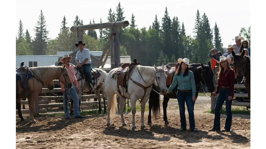 Heartland - Paradies für Pferde - Staffel 12 (Neuauflage)  [4 DVDs]