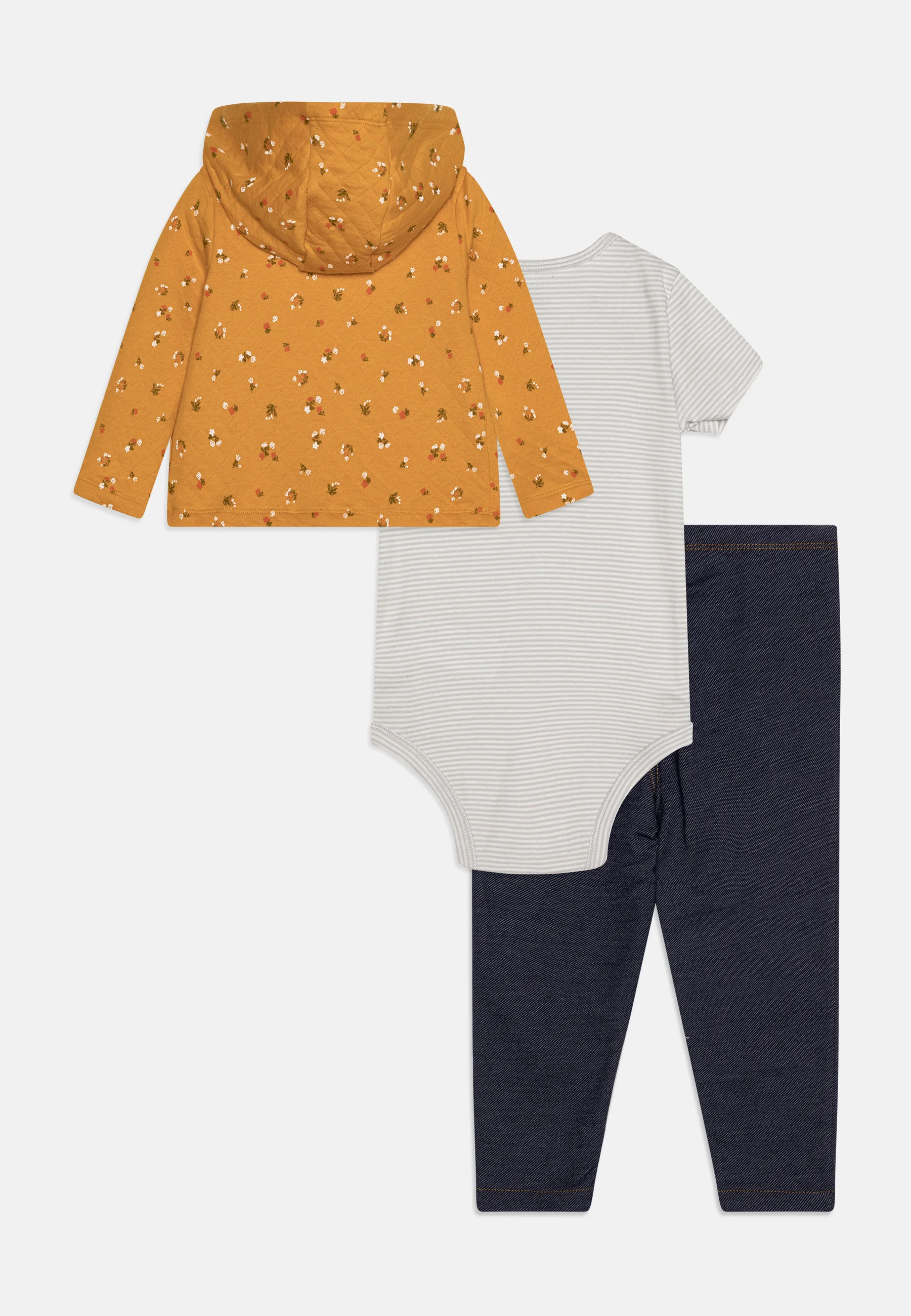 Conjunto CARDI de Carter - Cuerpo