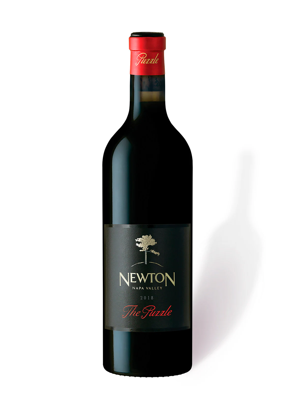 Newton The Puzzle 2018