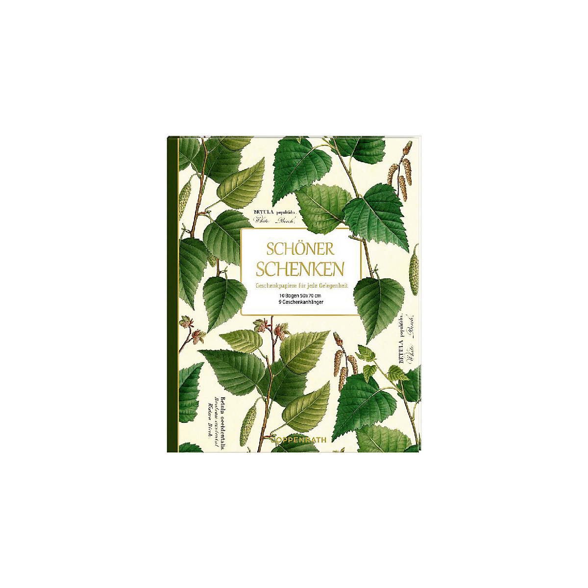 Geschenkpapierbuch Schöner Schenken Augustina, 10 Bogen 50 x 70 cm