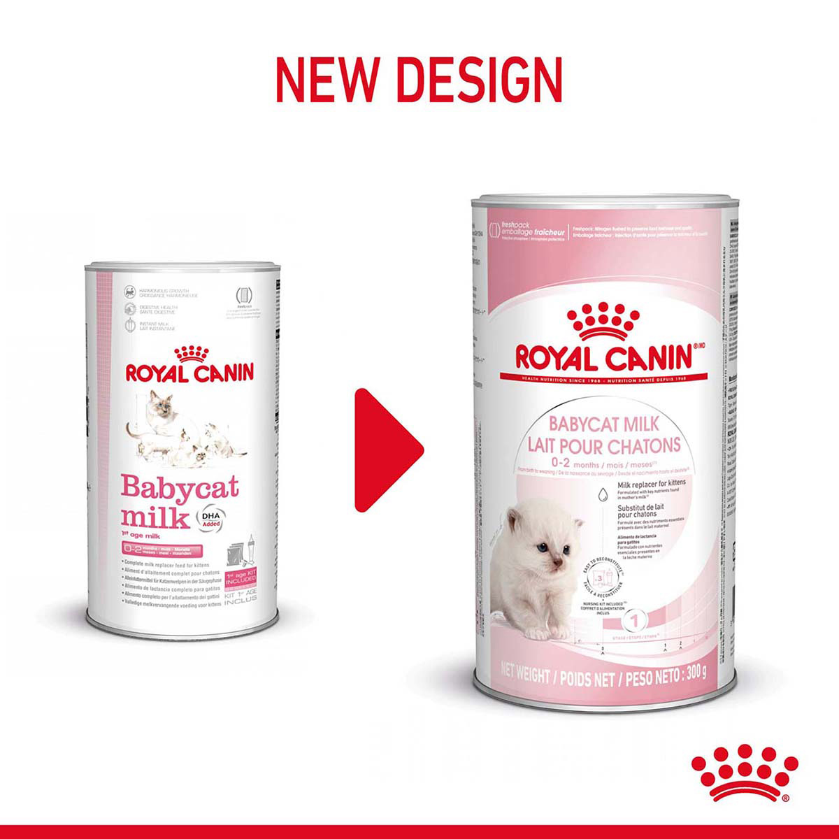 ROYAL CANIN BABYCAT MILK Aufzuchtmilch für Kitten 300g