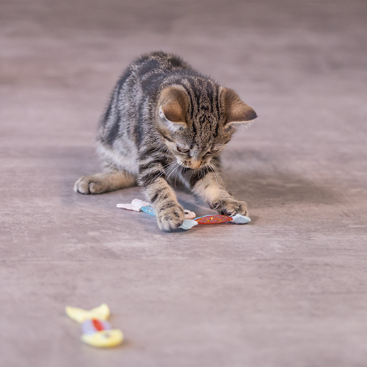 Beeztees Kitten Spring Fische 3 Stück günstig kaufen
