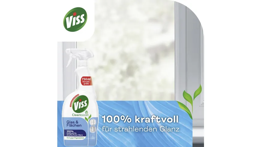 Viss Kraft & Glanz Glas & Flächen 750 ml 750 ml
